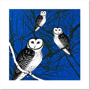 Owls on a Starry Night Posters and Art